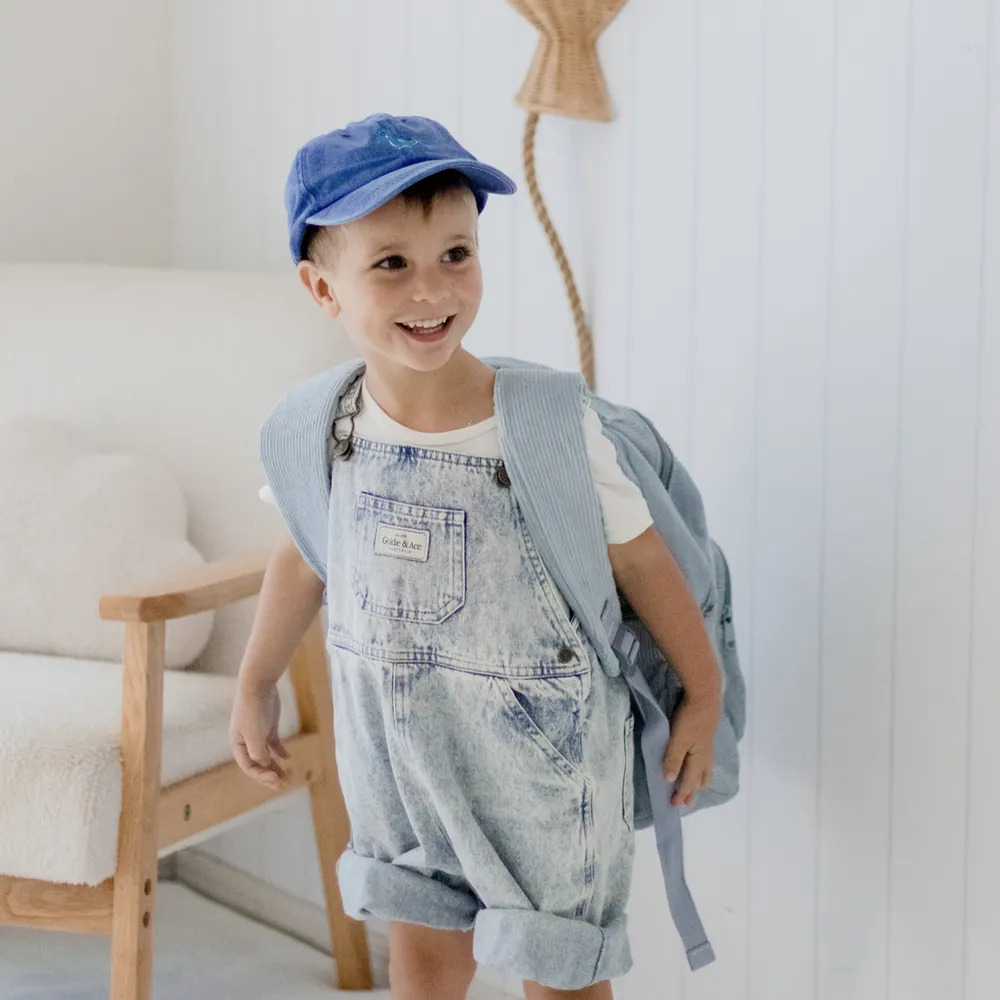Blueberry backpack